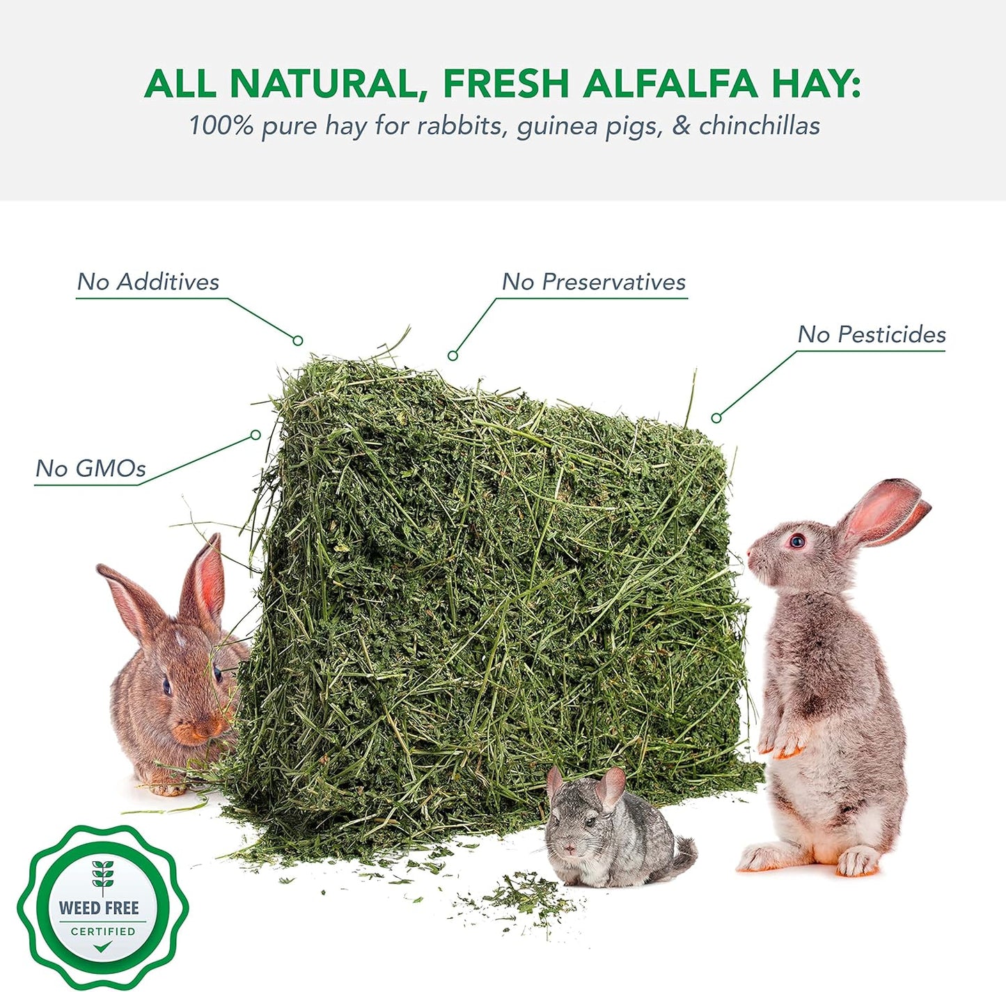 Alfalfa Hay for Rabbits & Small Pets, 10 Lbs