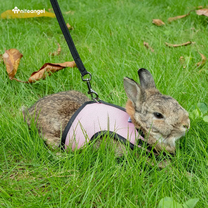 Niteangel Adjustable and Breathable Mesh Harness with Lead for Rabbit (S, Pink)