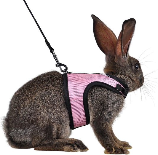 Niteangel Adjustable and Breathable Mesh Harness with Lead for Rabbit (S, Pink)