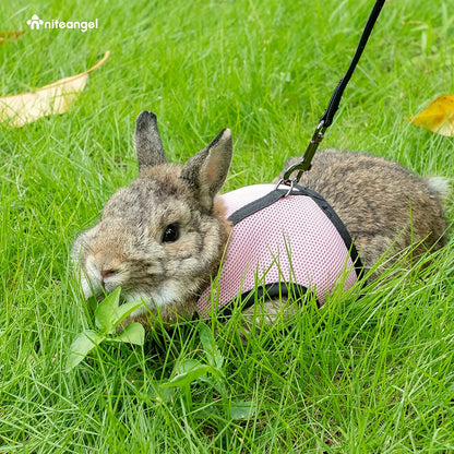 Niteangel Adjustable and Breathable Mesh Harness with Lead for Rabbit (S, Pink)