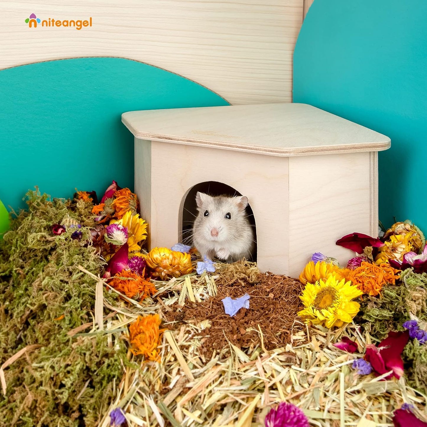 Niteangel Birch Chamber-Maze Hamster Hideout - Small Pets Woodland House Habitats Decor for Hamster Mice Gerbils Mouse